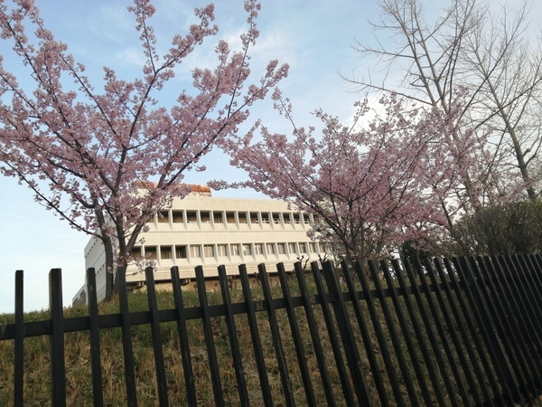 IMG_20210227_172222_コピー