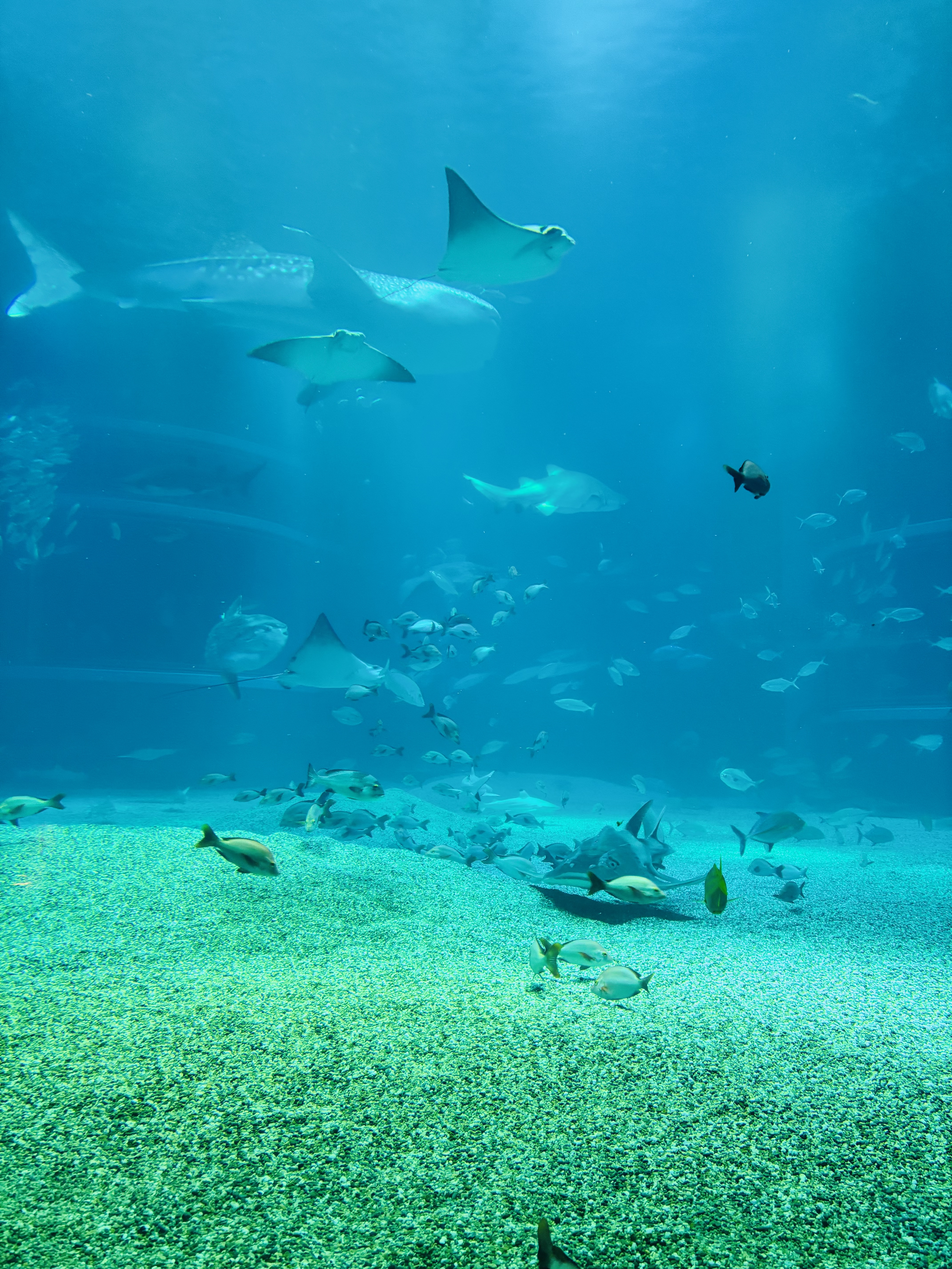 Image_20260208_200126_690